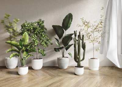 现代植物盆栽3D模型下载